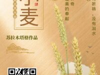 冬小麦/苏拉木塔格