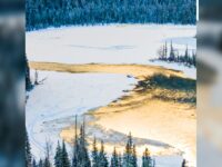 流经我身体的河流/池上清莲