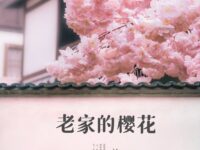 散文：老家的樱花/许佳荣