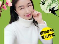 会飞的颜色/池上清莲