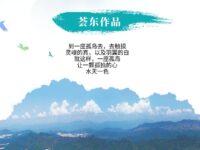 荟东：到一座孤岛去