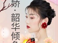 念奴娇•韶华倾负/凤凰于飞