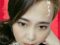 青花瓷/凤凰于飞