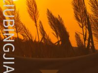 组诗：夜幕下的迷迭香/刘冰鉴