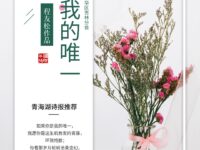 如果你是我的唯一/程友松