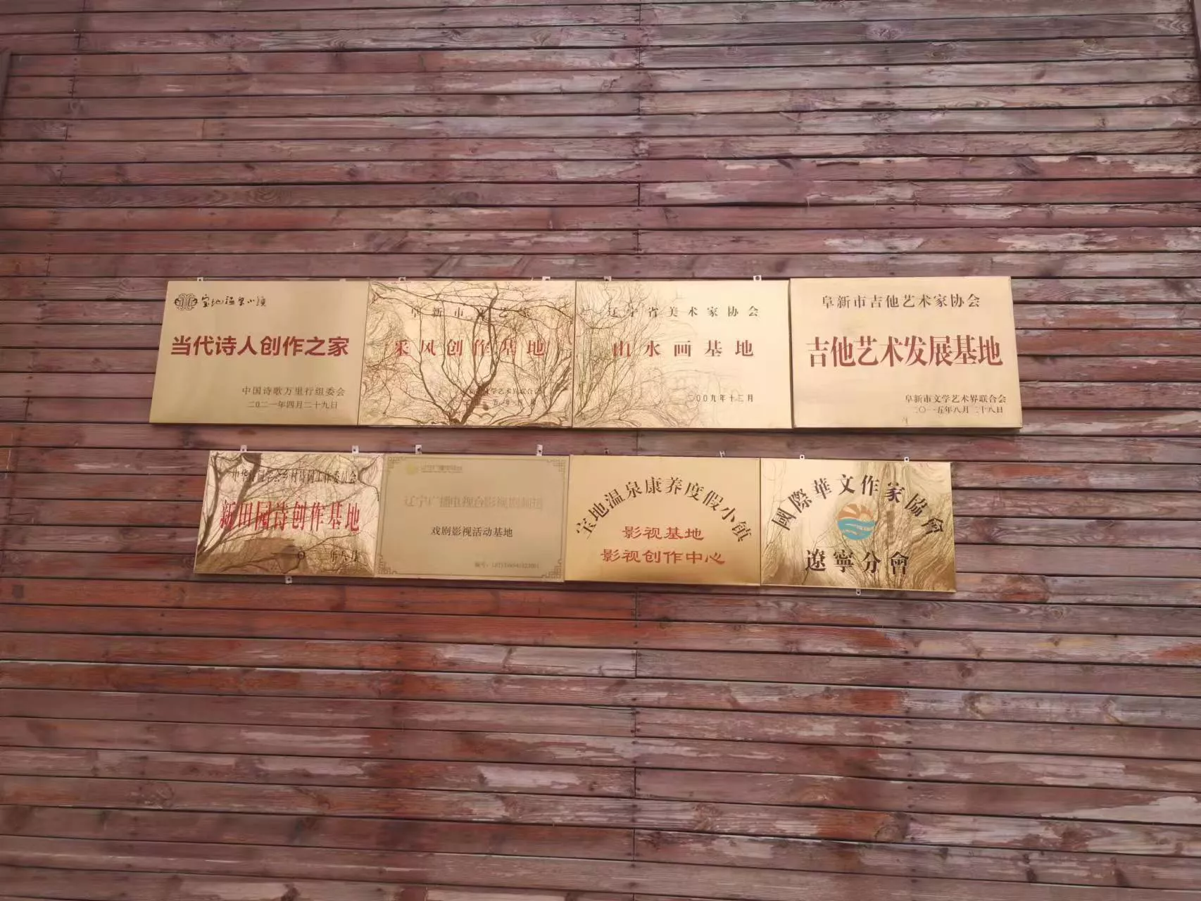 国际华协大中华区辽宁实体分会挂牌成立