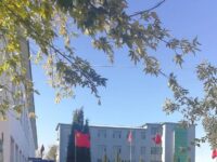 国际华协大中华区黑龙江实体分会挂牌成立