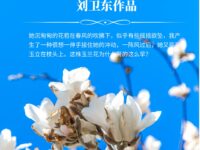 散文：玉兰花开/刘卫东