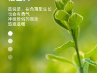 一株小草/詹坚兴