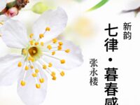 七律•暮春感怀（新韵）