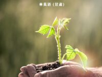 五一，我们向土地低头/莫语