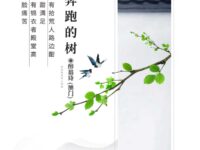 会奔跑的树/醉翁诗