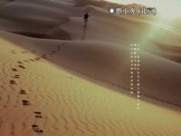 再唱阳关/惠小虎