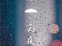 雨夜/张德朝