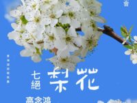 七绝•梨花/高念鸿