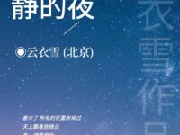 我醉着这静的夜/云衣雪