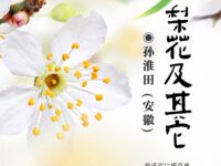 组诗：梨花及其它/孙淮田