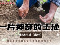 林禾冰：一片神奇的土地（外一首）