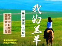 我的羔羊/田渝溆