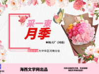 采一束月季/杨天广