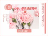 大地，母亲请将我唤醒/诗凝