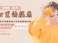 手心里的温柔/上官婉婷