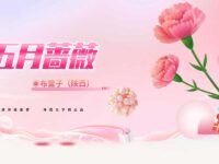 五月蔷薇/布雷子