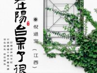 我在阳台呆了很久/倪进宝