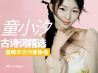 童小汐诗词精选三十四首（阕）