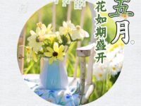 五月，槐花如期盛开/抒雅