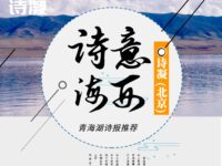 诗意海西/诗凝