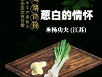 葱白的情怀/杨功夫