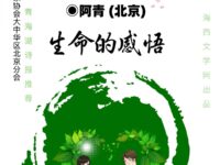 生命的感悟/阿青