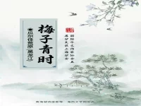 梅子青时/瓜尔佳荒原