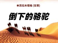 倒下的骆驼/苏拉木塔格