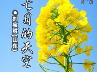 七月的天空/刘宝胜