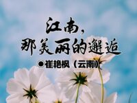 江南，那场美丽的邂逅/崔艳枫