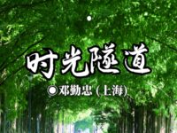 时光隧道/ 邓勤忠