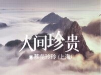 人间珍贵/慕尧玲玲