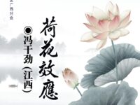 荷花效应/冯干劲
