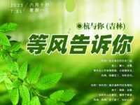 等风告诉你/杭与你