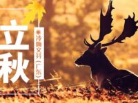 立秋随想/冷梅文芬