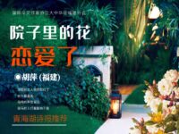 院子里的花恋爱了/胡萍