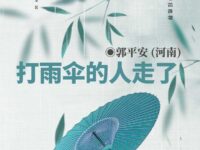 打雨伞的人走了/郭平安