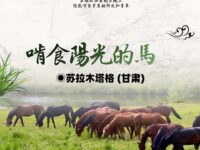 啃食阳光的马匹/苏拉木塔格