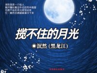 组诗：揽不住的月光/泯然