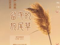 同题诗展示：留守的狗尾草/广西分会
