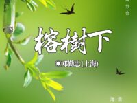 榕树下/ 邓勤忠