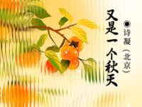 又是一个秋天/诗凝