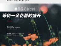 等着一朵花蕾的盛开/邵国阳
